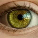 greeneyes23456