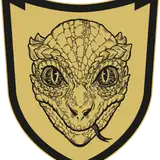 old_Navy_VETeran
