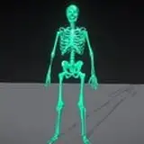 Truebones Motions Animation Studios