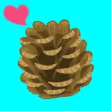 dekabokkuri
