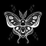 Praise_Moth