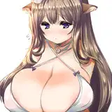 fujiyamax