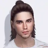 antosims